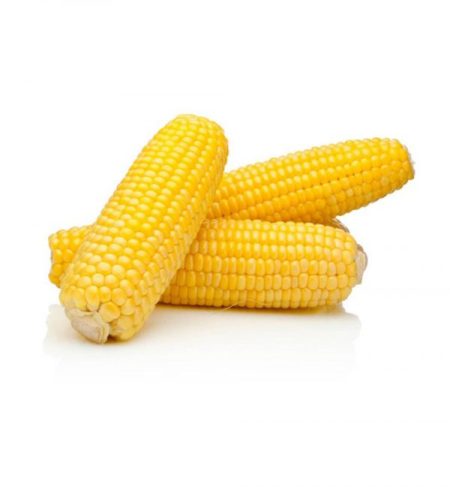 ذرت درجه یک